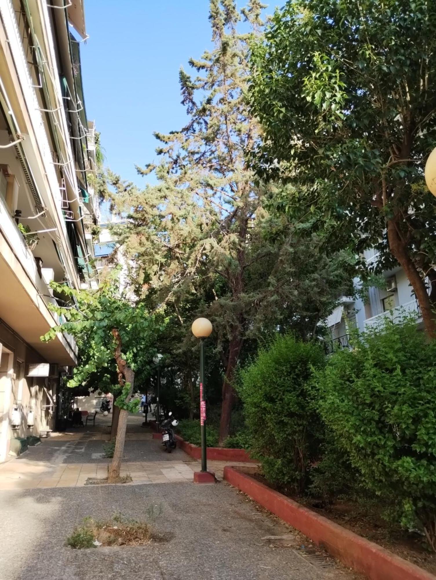 Vasia'S Cosy Apartment In Athens, "Pedion Tou Areos", Close To Center المظهر الخارجي الصورة